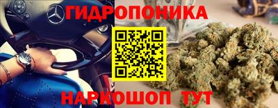 ПСИЛОЦИБИНОВЫЕ ГРИБЫ Рыбинск