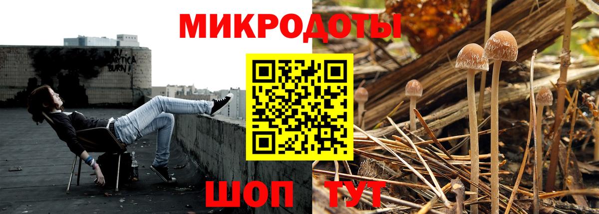 Реутов  Псилоцибиновые грибы Cubensis  Вход с VPN 