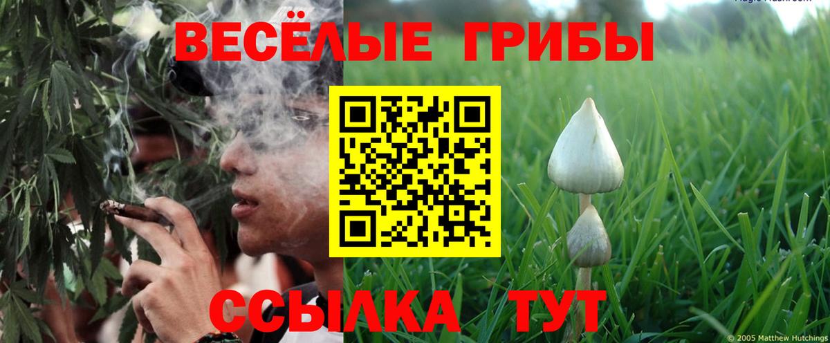 Реутов  ЭКСТАЗИ  Вход с VPN  Гашиш  Гашиш  Марихуана  МЕТ  МЕФ кристаллы 