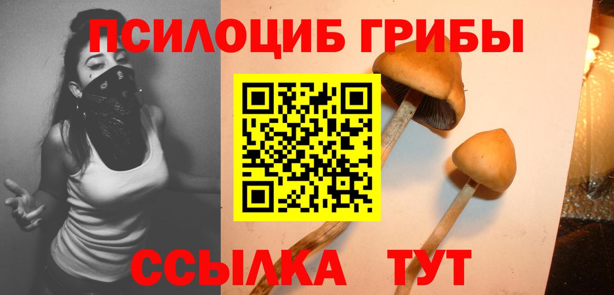 Галлюциногенные грибы MAGIC MUSHROOMS Реутов